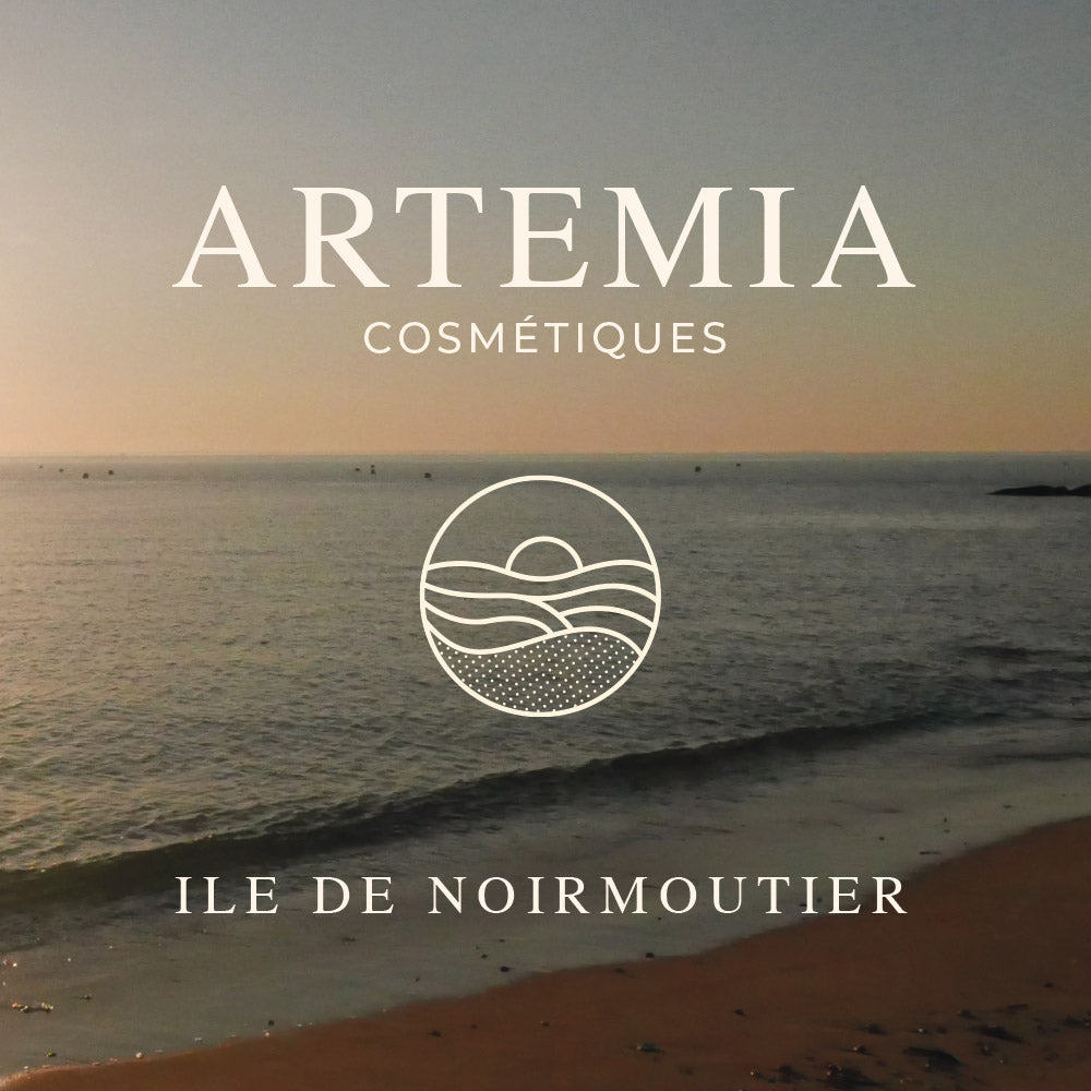 Voyage sur l'île de Noirmoutier - ARTEMIA - 1h00